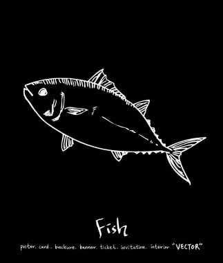 deniz gıda çizimler / el çekilmiş gıda maddeleri - vektör