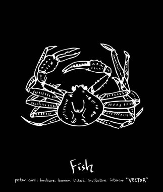 deniz gıda çizimler / el çekilmiş gıda maddeleri - vektör