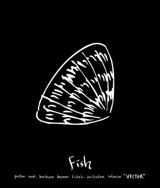 deniz gıda çizimler / el çekilmiş gıda maddeleri - vektör