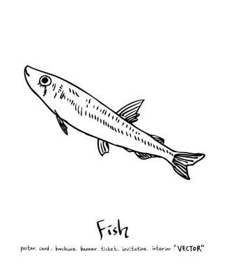 Çizilmiş gıda maddeleri el / deniz gıda resimleri - vektör