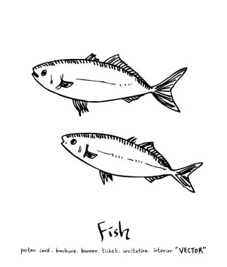 Çizilmiş gıda maddeleri el / deniz gıda resimleri - vektör