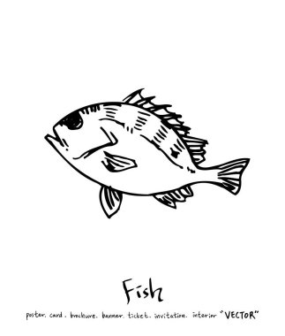 Çizilmiş gıda maddeleri el / deniz gıda resimleri - vektör