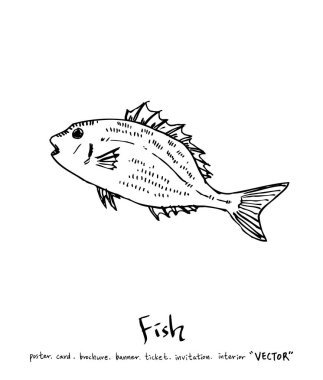 Çizilmiş gıda maddeleri el / deniz gıda resimleri - vektör