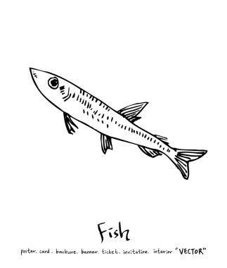 Çizilmiş gıda maddeleri el / deniz gıda resimleri - vektör