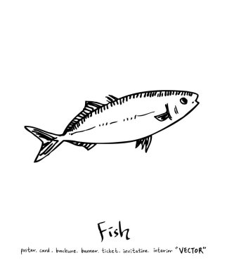 Çizilmiş gıda maddeleri el / deniz gıda resimleri - vektör