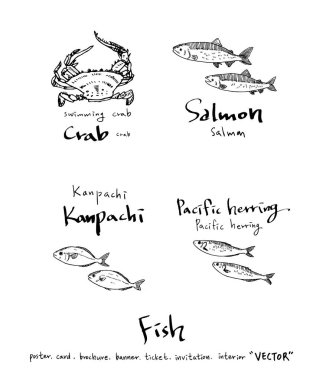 Çizilmiş gıda maddeleri el / deniz gıda resimleri - vektör