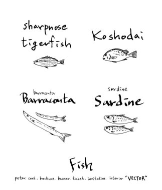 Çizilmiş gıda maddeleri el / deniz gıda resimleri - vektör