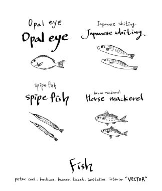 Çizilmiş gıda maddeleri el / deniz gıda resimleri - vektör