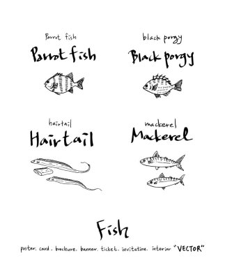 Çizilmiş gıda maddeleri el / deniz gıda resimleri - vektör