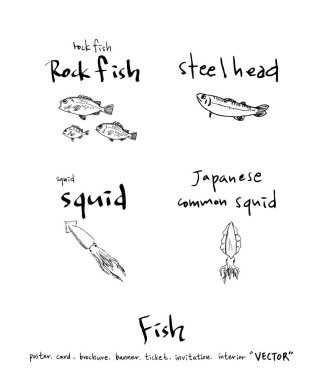 Çizilmiş gıda maddeleri el / deniz gıda resimleri - vektör