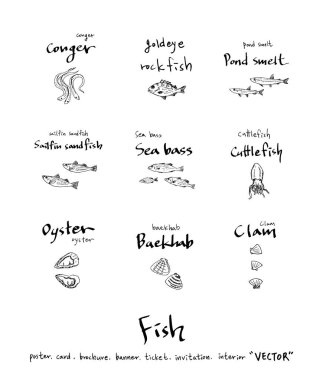 Çizilmiş gıda maddeleri el / deniz gıda resimleri - vektör