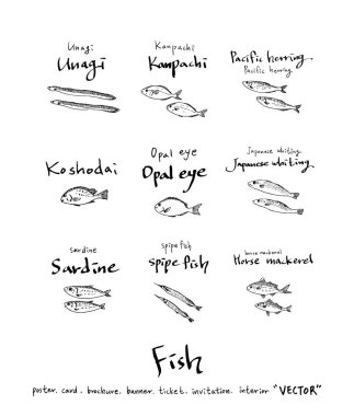 Çizilmiş gıda maddeleri el / deniz gıda resimleri - vektör