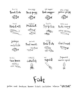 Çizilmiş gıda maddeleri el / deniz gıda resimleri - vektör