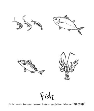 Çizilmiş gıda maddeleri el / deniz gıda resimleri - vektör