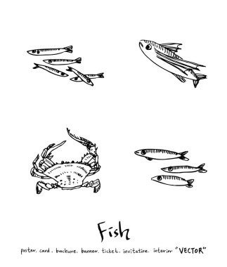 Çizilmiş gıda maddeleri el / deniz gıda resimleri - vektör