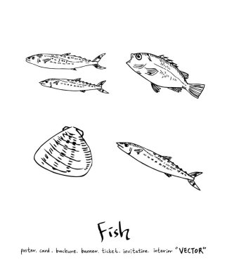 Çizilmiş gıda maddeleri el / deniz gıda resimleri - vektör