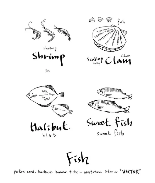 Çizilmiş Gıda Maddeleri Deniz Gıda Resimleri Vektör — Stok Vektör