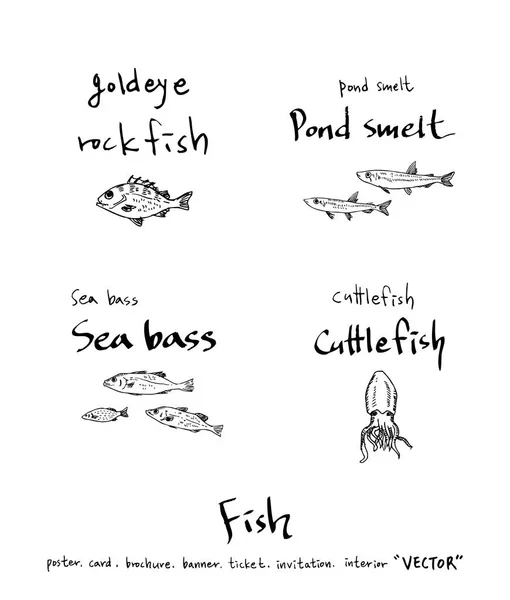 手工绘制食品配料 海洋食品插图 — 图库矢量图片