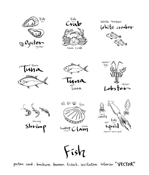 Hand Getekende Voedselingrediënten Zee Voedsel Illustraties Vector — Stockvector