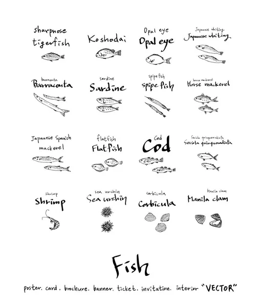 Handgezeichnete Lebensmittelzutaten Meeresfrüchte Illustrationen Vektor — Stockvektor