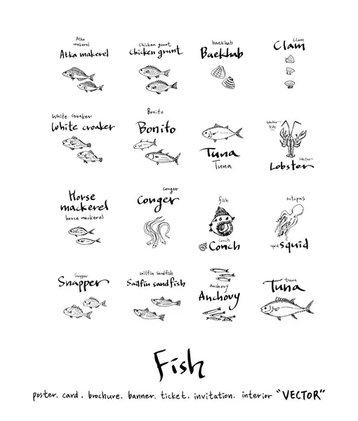 Hand Drawn Food Ingredients Sea Food Illustrations Vector — Stock Vector