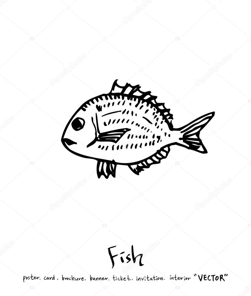 Sea food illustrations / Hand drawn food ingredients - vector