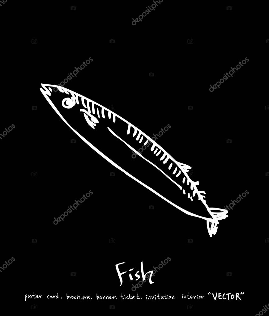 Sea food illustrations / Hand drawn food ingredients - vector