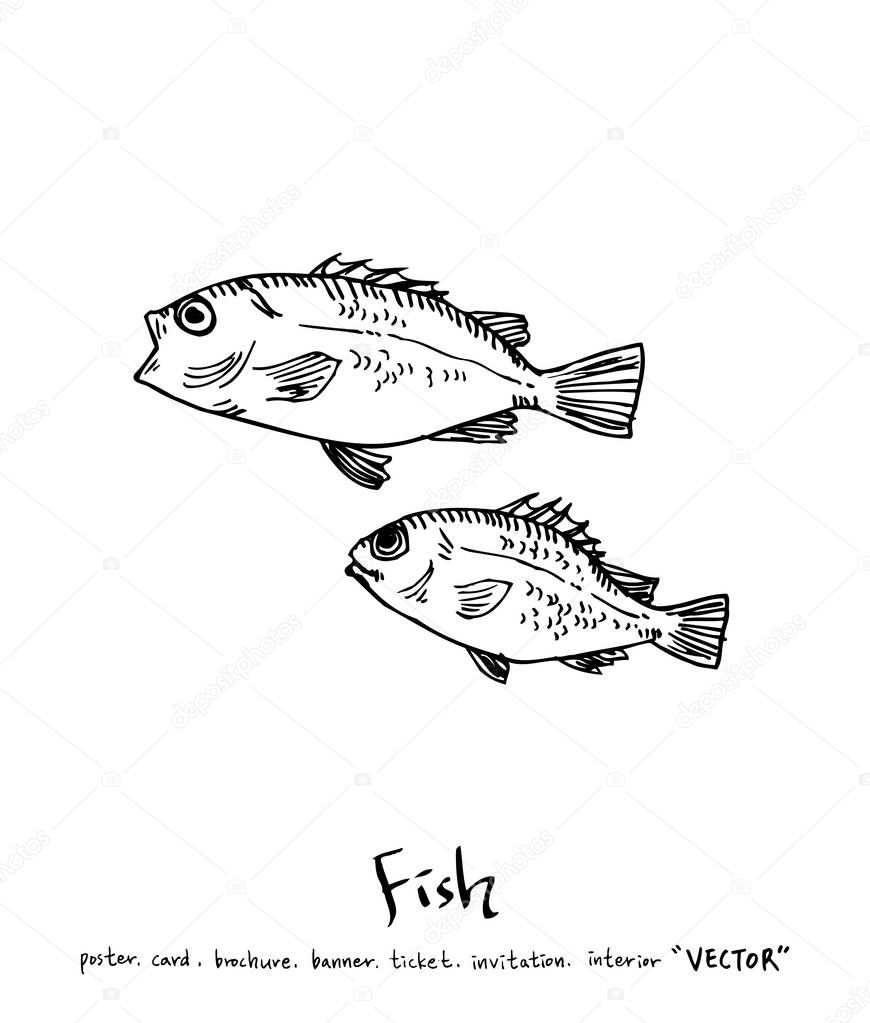 Hand drawn food ingredients / sea food illustrations - vector