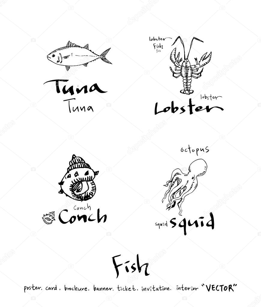 Hand drawn food ingredients / sea food illustrations - vector