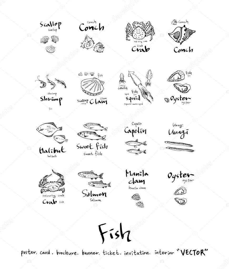 Hand drawn food ingredients / sea food illustrations - vector