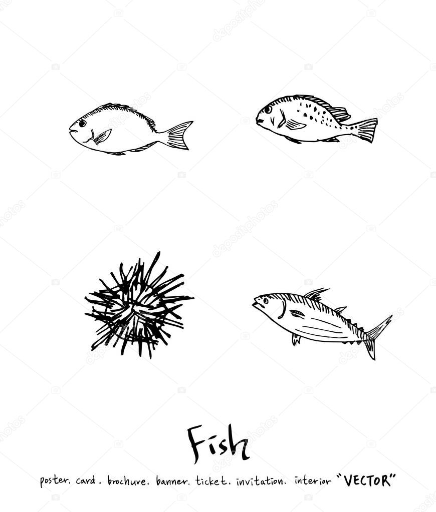 Hand drawn food ingredients / sea food illustrations - vector