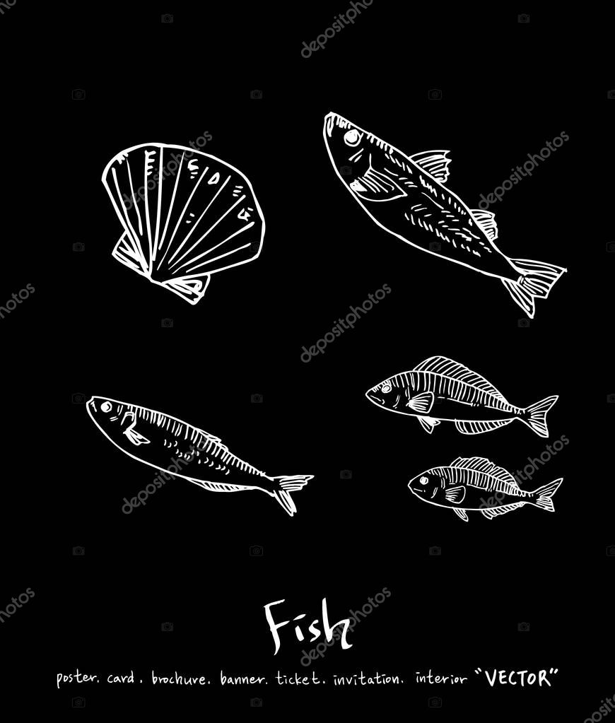 Hand drawn food ingredients / sea food illustrations - vector