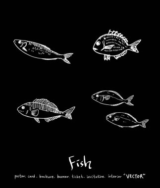 Çizilmiş gıda maddeleri el / deniz gıda resimleri - vektör