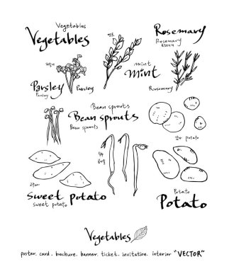 El çekilmiş gıda maddeleri - sebze ve meyve resimleri - vektör