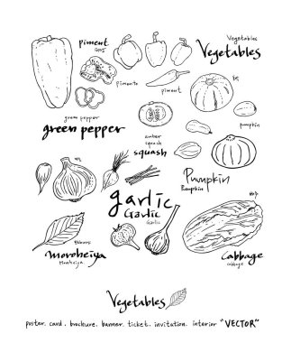 El çekilmiş gıda maddeleri - sebze ve meyve resimleri - vektör