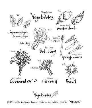El çekilmiş gıda maddeleri - sebze ve meyve resimleri - vektör