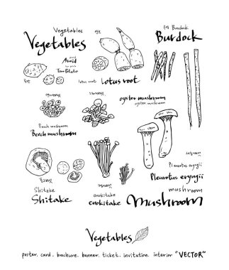 El çekilmiş gıda maddeleri - sebze ve meyve resimleri - vektör