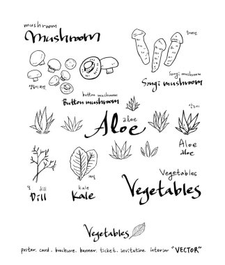 El çekilmiş gıda maddeleri - sebze ve meyve resimleri - vektör