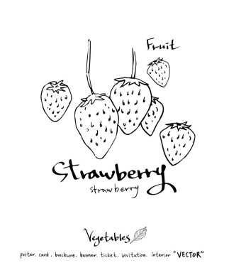 El çekilmiş gıda maddeleri - sebze ve meyve resimleri - vektör
