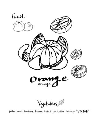 El çekilmiş gıda maddeleri - sebze ve meyve resimleri - vektör