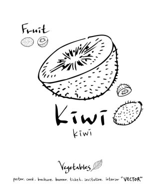 El çekilmiş gıda maddeleri - sebze ve meyve resimleri - vektör