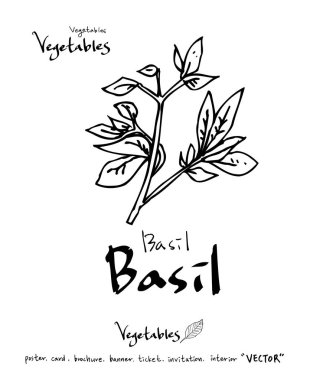 El çekilmiş gıda maddeleri - sebze ve meyve resimleri - vektör