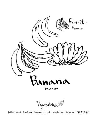 El çekilmiş gıda maddeleri - sebze ve meyve resimleri - vektör