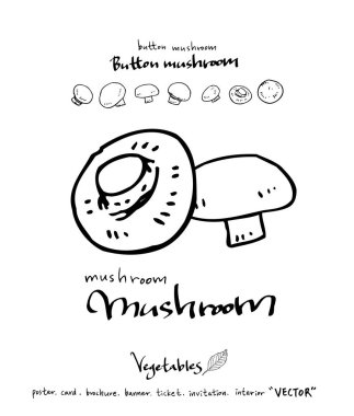 El çekilmiş gıda maddeleri - sebze ve meyve resimleri - vektör