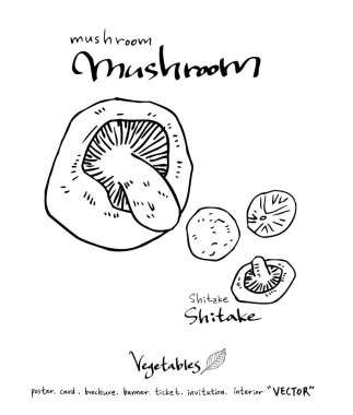 El çekilmiş gıda maddeleri - sebze ve meyve resimleri - vektör