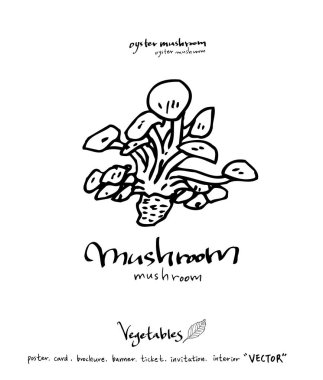 El çekilmiş gıda maddeleri - sebze ve meyve resimleri - vektör