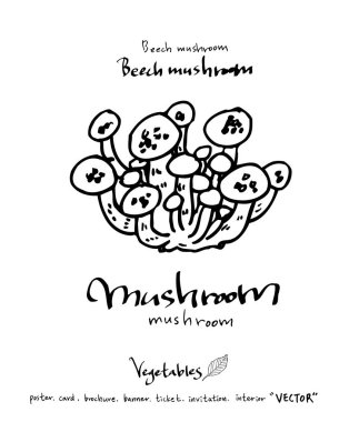 Sebze ve meyve resimler / el çekilmiş gıda maddeleri - vektör