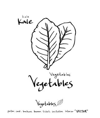 Sebze ve meyve resimler / el çekilmiş gıda maddeleri - vektör