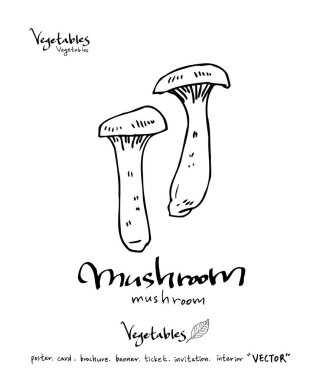 Sebze ve meyve resimler / el çekilmiş gıda maddeleri - vektör