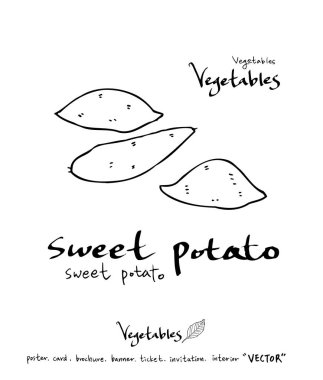 Sebze ve meyve resimler / el çekilmiş gıda maddeleri - vektör